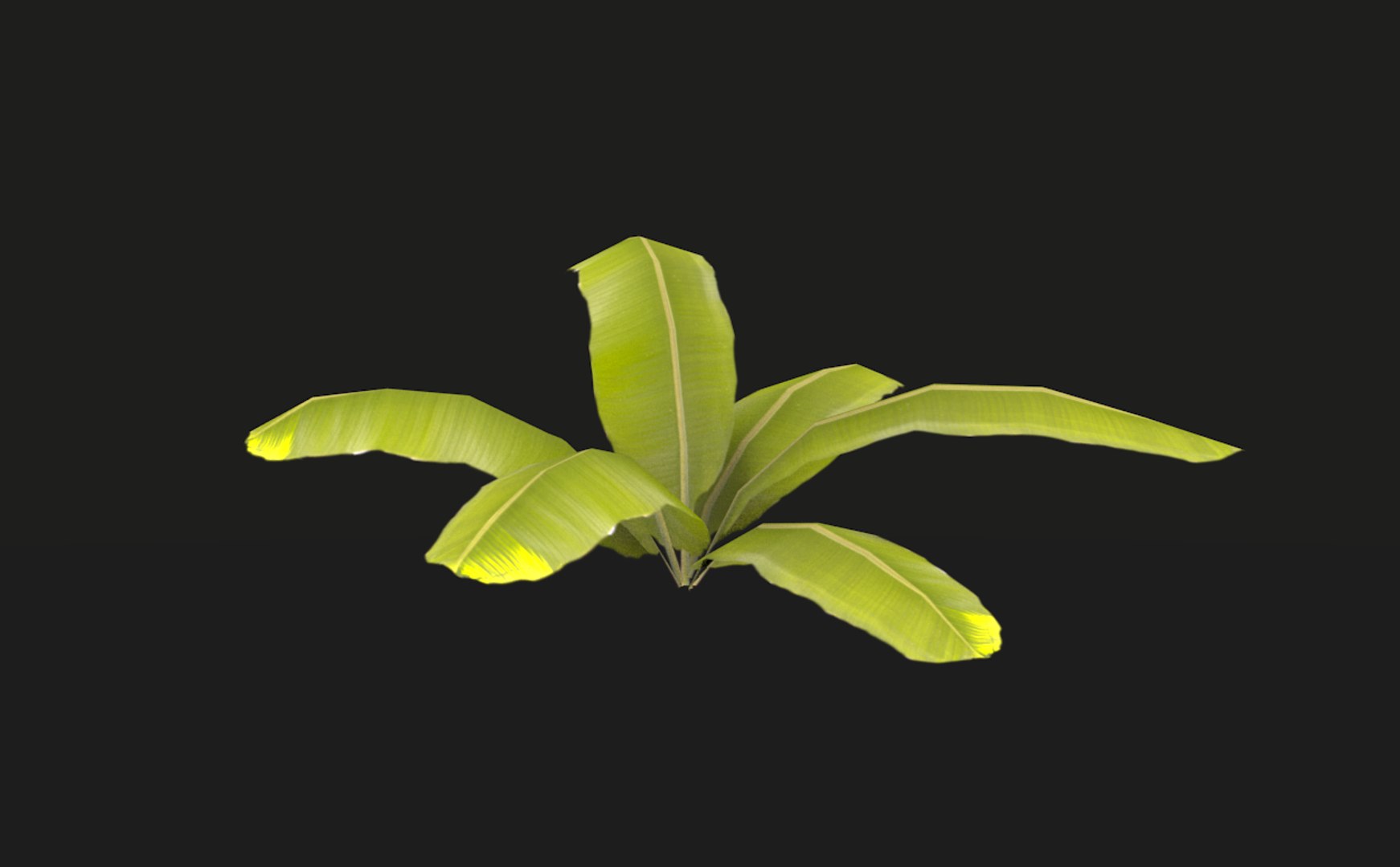 3D model tropical vegetation pack https://p.turbosquid.com/ts-thumb/M1/t1tBRz/lhCAMXlI/rend13/png/1554029586/1920x1080/fit_q87/28dd6094bbb100b80c44a1d9b6018638048e2d7a/rend13.jpg