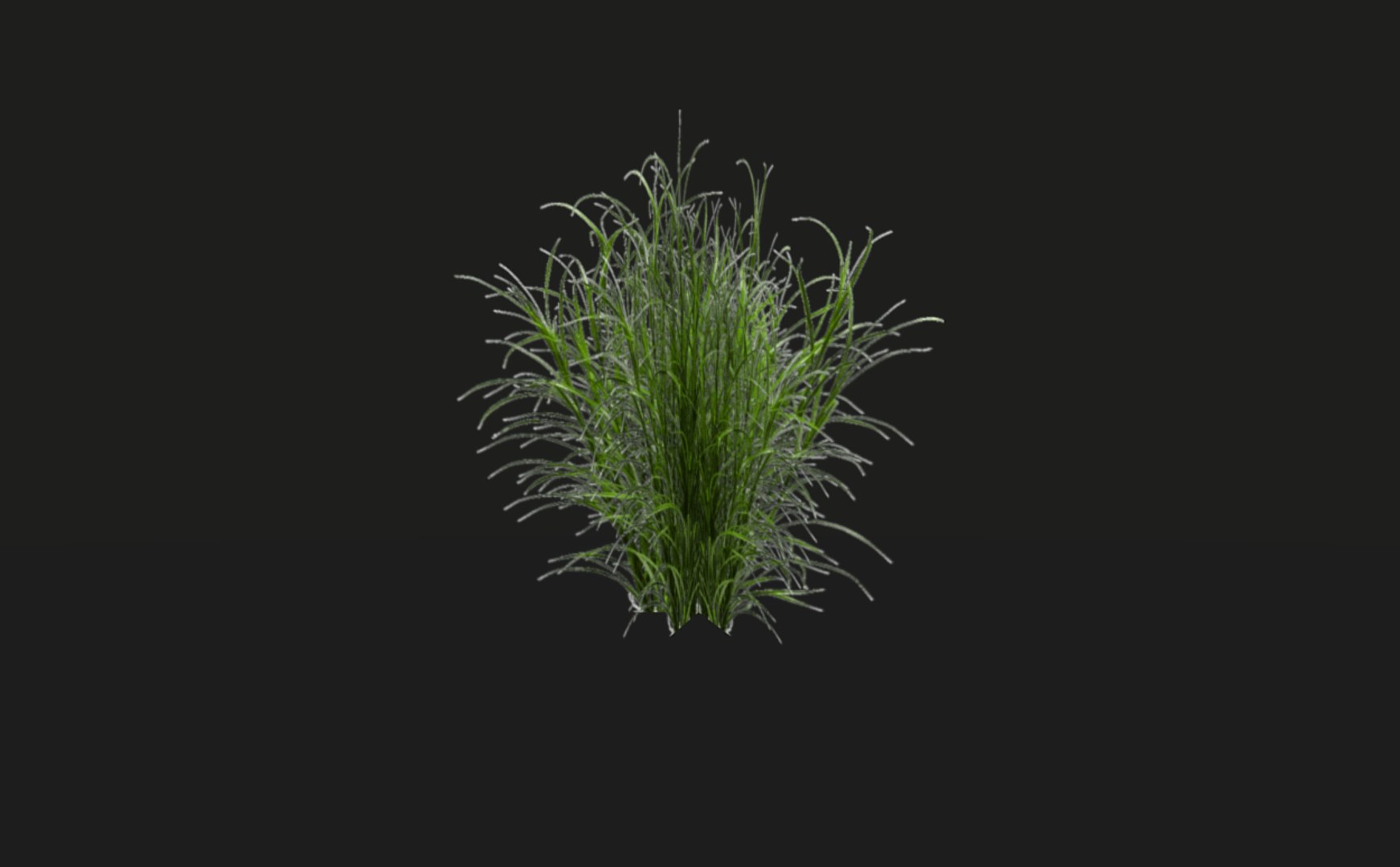 3D model tropical vegetation pack https://p.turbosquid.com/ts-thumb/M1/t1tBRz/rMdO778V/rend25/png/1554029765/1920x1080/fit_q87/6483211530d00de23af91ade3550a55e303fe3a1/rend25.jpg
