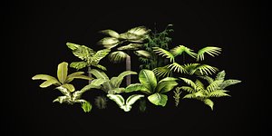3D model tropical vegetation pack