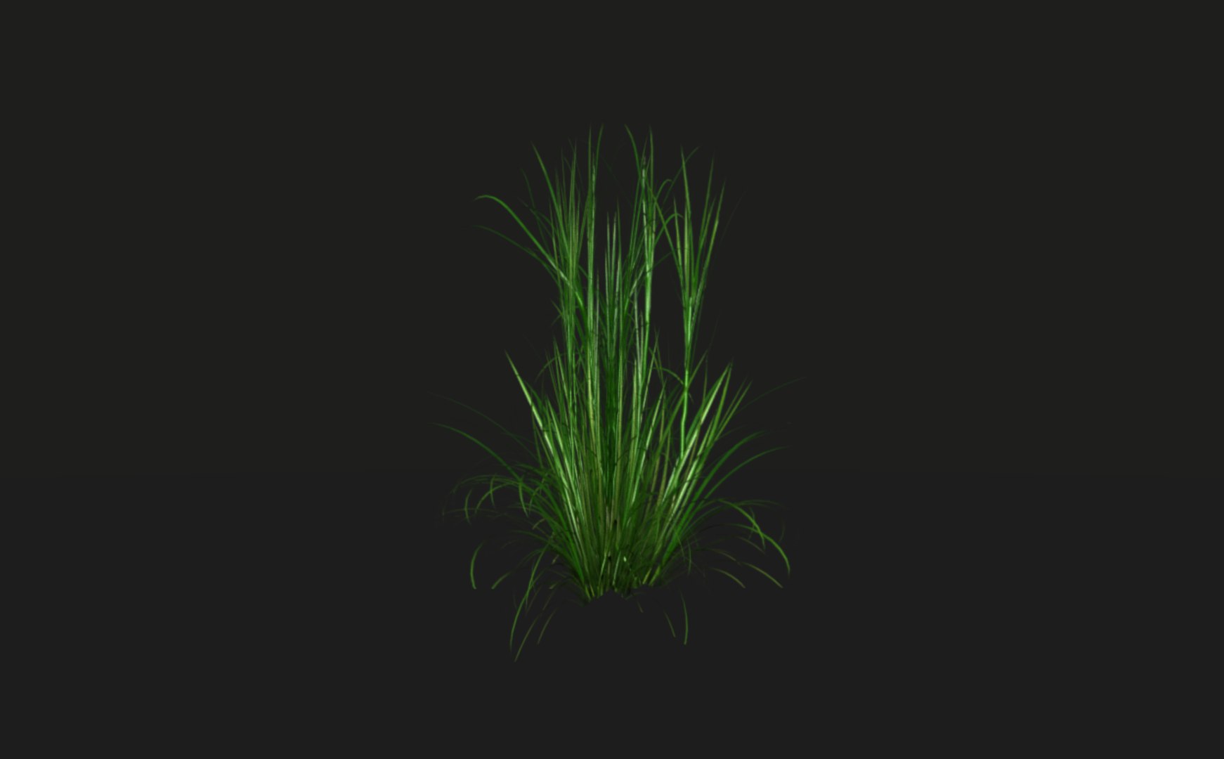 3D model tropical vegetation pack https://p.turbosquid.com/ts-thumb/M1/t1tBRz/ugkMgDed/rend26/png/1554029780/1920x1080/fit_q87/a573c4ebb6a1e9b31d348c6ae6c61f374974f801/rend26.jpg
