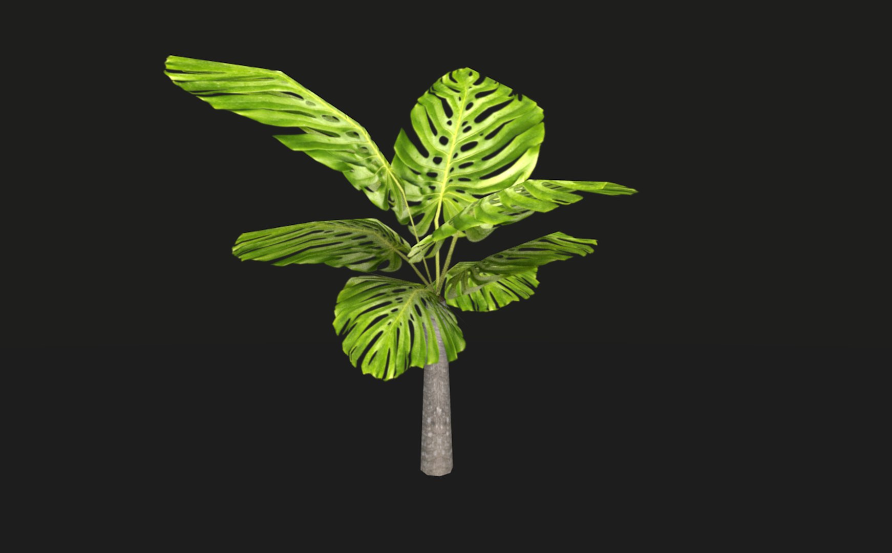 3D model tropical vegetation pack https://p.turbosquid.com/ts-thumb/M1/t1tBRz/zfYjEpMX/rend14/png/1554029626/1920x1080/fit_q87/a554dcade8cca73f12258e3bd7bd438201d92185/rend14.jpg