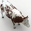 Cow Collection