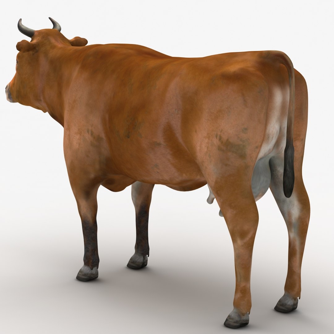 dugm02 cow 3d max https://p.turbosquid.com/ts-thumb/M2/712jbI/IQEs8Luf/cow_02_000001/jpg/1382015103/1920x1080/fit_q87/399c0d61f2ece7fb99d7d3c30bb7ad67d01e4d3a/cow_02_000001.jpg