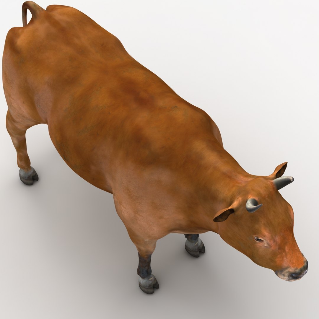dugm02 cow 3d max https://p.turbosquid.com/ts-thumb/M2/712jbI/ISBPD8rX/cow_02_000004/jpg/1382015103/1920x1080/fit_q87/b5a85a9004b93f714509782a6f2125dfc10df9a1/cow_02_000004.jpg