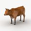 Cow Collection