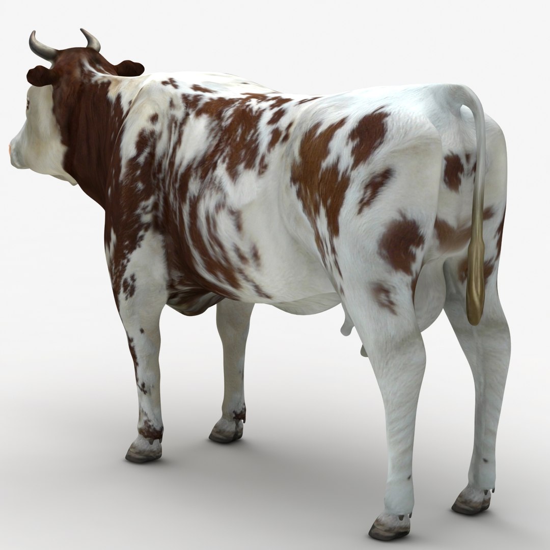 dugm02 cow 3d max https://p.turbosquid.com/ts-thumb/M2/712jbI/R4egt4Yq/cow_01_000001/jpg/1382015054/1920x1080/fit_q87/24a549ecdc1061aed4950f5d106c30fd6e81fd2d/cow_01_000001.jpg