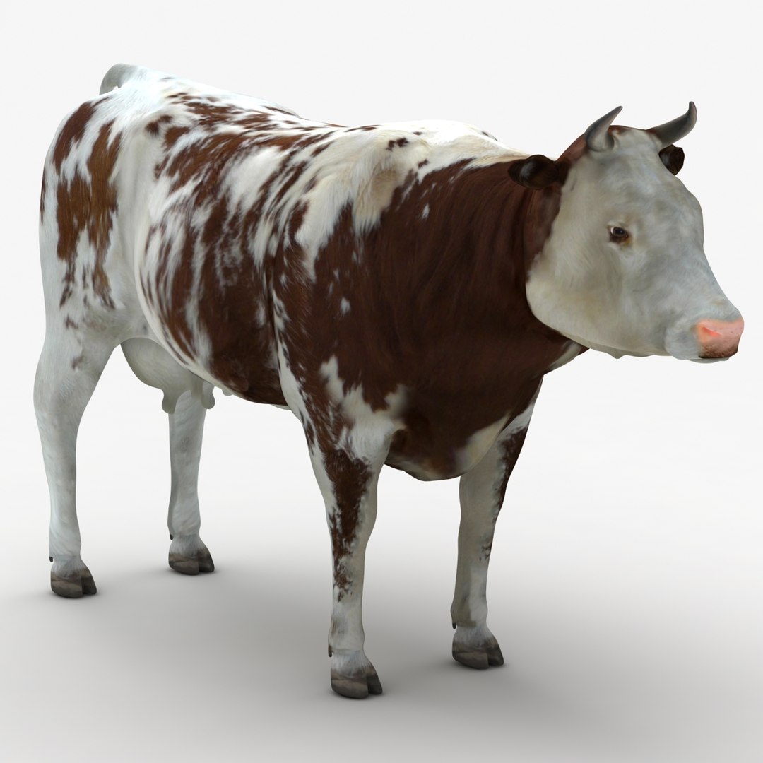 dugm02 cow 3d max https://p.turbosquid.com/ts-thumb/M2/712jbI/UNciiTUg/cow_01_000003/jpg/1382015054/1920x1080/fit_q87/dbbdeab41d41c6b586e1209ca5f47088cf5306ca/cow_01_000003.jpg