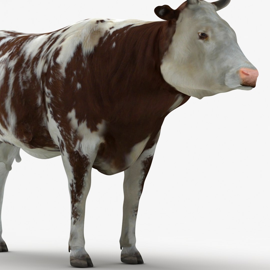 dugm02 cow 3d max https://p.turbosquid.com/ts-thumb/M2/712jbI/e1NkRZc1/cow_01_000006/jpg/1382015054/1920x1080/fit_q87/3abfd2fda0bf946ea01ce4dfd61be78546504d0a/cow_01_000006.jpg