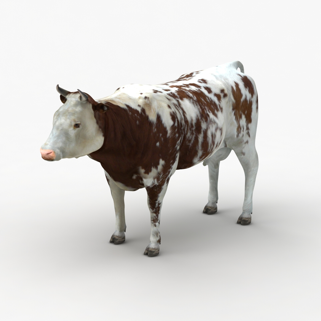 dugm02 cow 3d max https://p.turbosquid.com/ts-thumb/M2/712jbI/gYiHx72s/0000/jpg/1382016402/1920x1080/turn_fit_q99/365612690bc4e91d920fe67b62a1a6de6d2bc559/0000-1.jpg
