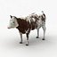 dugm02 cow 3d max