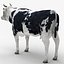 Cow Collection