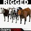 Cow Collection