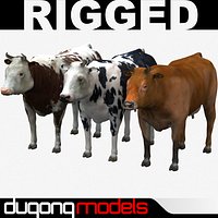 Cow Collection