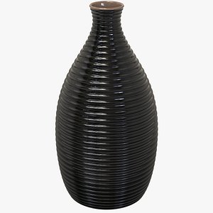 3D Bicolor Vase