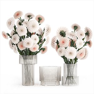 Set of white bouquets of flowers Chrysanthemum Dahlias 375 3D