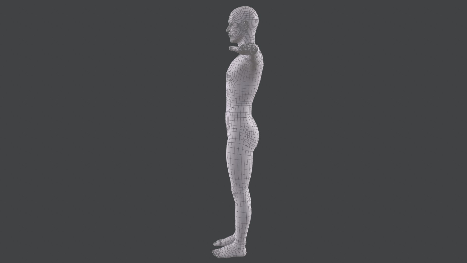 3D Male Base Mesh Model - TurboSquid 1849599