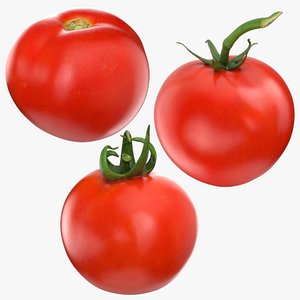 Tomato - 3D Scanned Collection 3D model