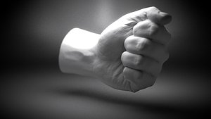 Hand gesture 1