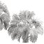 Sabal Palmetto Cabbage Palm-02