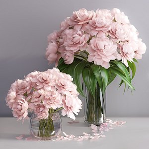 Elegant pink peonies in 2 vases