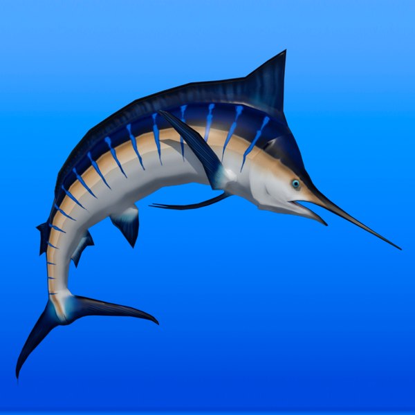 Marlin 3D Models for Download | TurboSquid