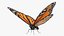 Milkweed Butterfly Fur For Blender