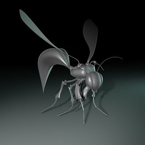 Wasp.3ds