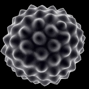 3d model microscopic pollen