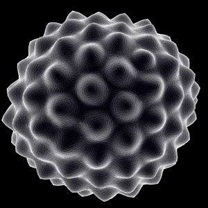Pollen