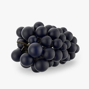 Realistic Blue Grapes