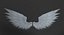 Angel Wings