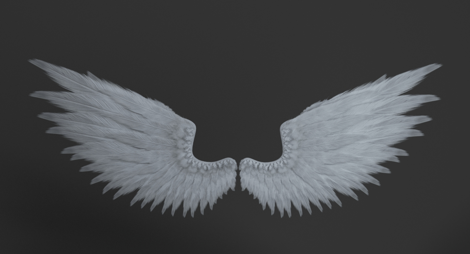 3D Realistic Wings - TurboSquid 1282094