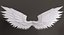 Angel Wings