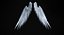 Angel Wings