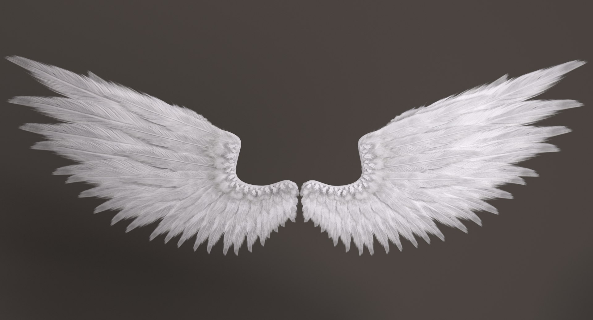 3D Realistic Wings - TurboSquid 1282094