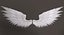 Angel Wings
