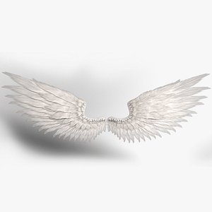 Angel Wings