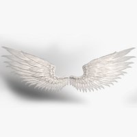 Angel Wings