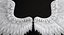 Angel Wings
