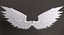 Angel Wings