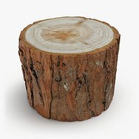 Wood Log 02 - 3D Scanned