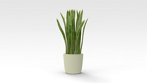 Pot Plant 3D