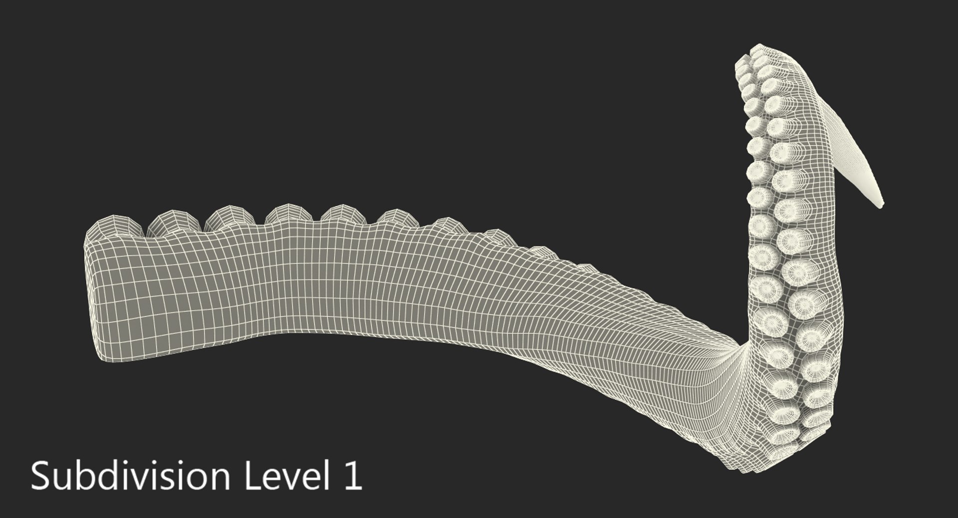 3D model Octopus Tentacle https://p.turbosquid.com/ts-thumb/M3/kYDez4/JM/tentacle_of_octopus_0011/jpg/1775579460/1920x1080/fit_q87/53fa7310301ac92d63ad76e7caa8dcabb1d4390f/tentacle_of_octopus_0011.jpg