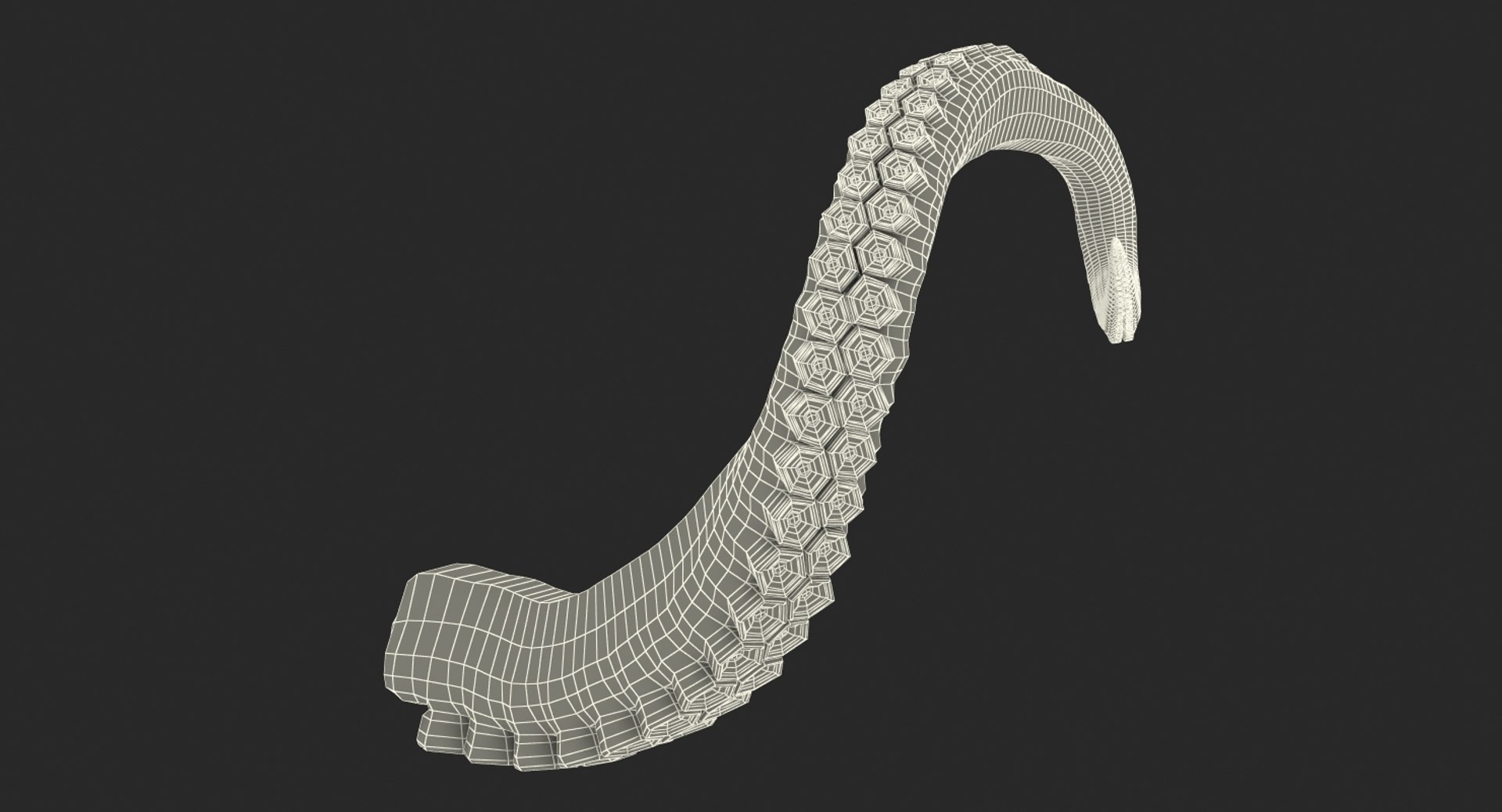 3D model Octopus Tentacle https://p.turbosquid.com/ts-thumb/M3/kYDez4/WI/tentacle_of_octopus_0017/jpg/1775579479/1920x1080/fit_q87/ba078135ec69cc0057903f3e9533c65382451cd5/tentacle_of_octopus_0017.jpg