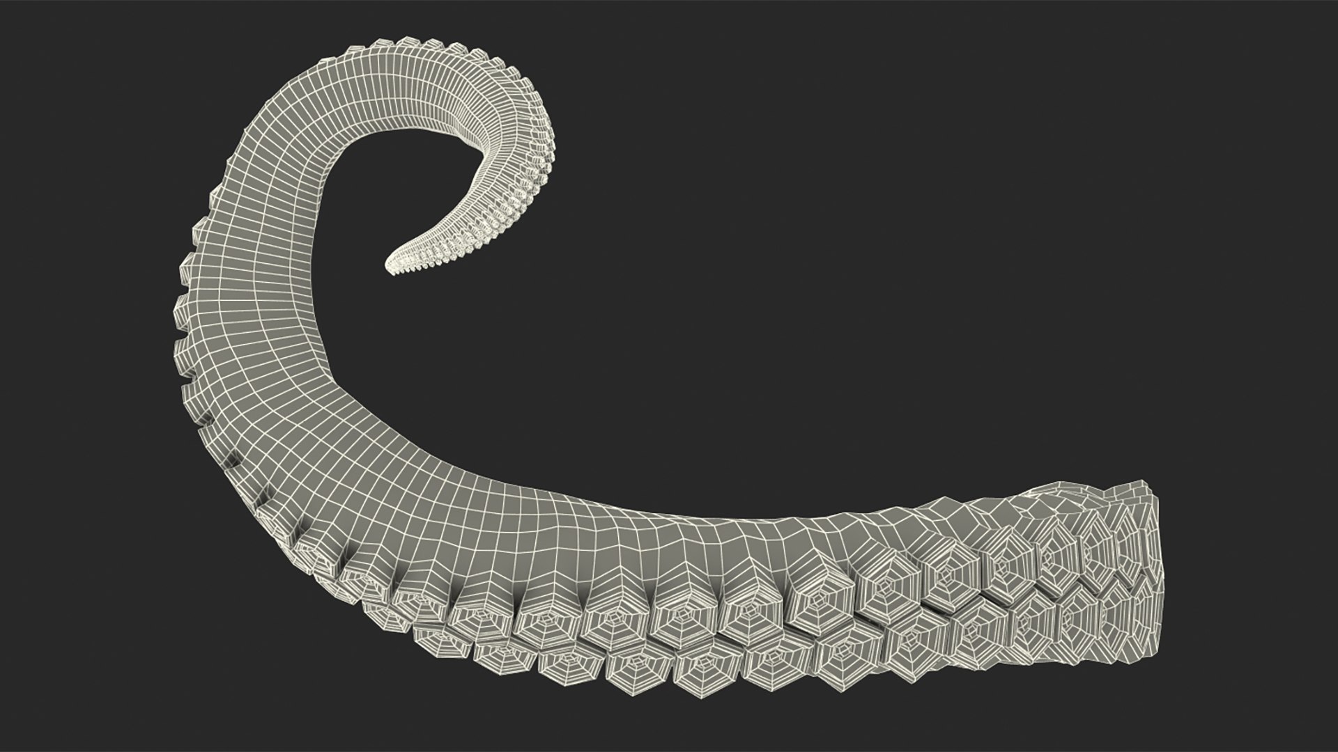 3D model Octopus Tentacle https://p.turbosquid.com/ts-thumb/M3/kYDez4/dY/tentacle_of_octopus_0015/jpg/1775634065/1920x1080/fit_q87/c8a1a213611ff3cfc45a5c7c31ba974734508dca/tentacle_of_octopus_0015.jpg