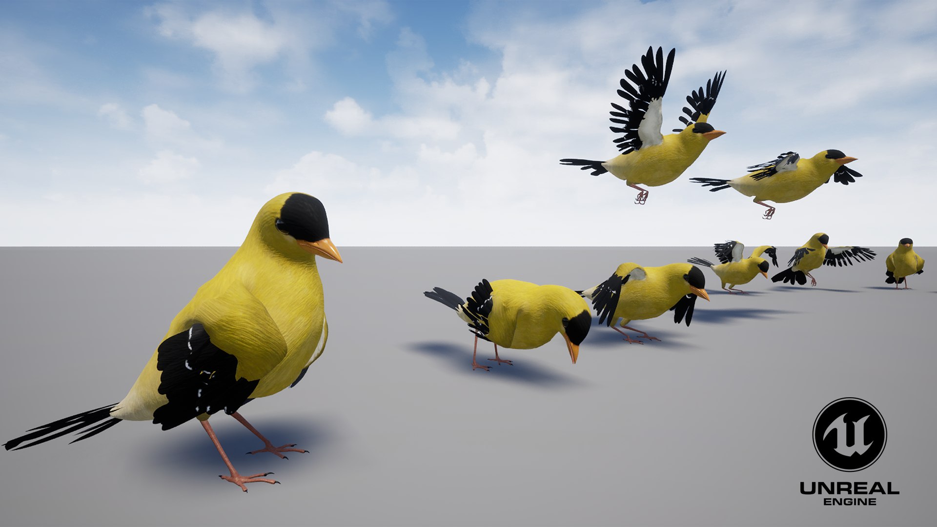 Goldfinch Animated 3D - TurboSquid 2122671
