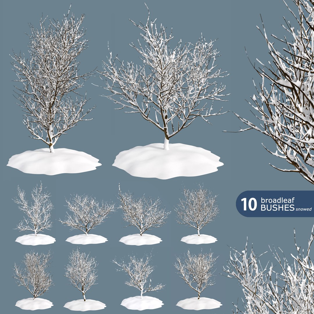 bushes 3D model https://p.turbosquid.com/ts-thumb/M4/6oQ7Bi/28Ya3qPx/bb_collection12/jpg/1541271198/1920x1080/fit_q87/fdf41a8ea718ff92e36e8050e34955f6294abc2b/bb_collection12.jpg