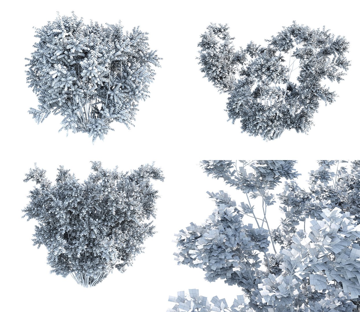 bushes 3D model https://p.turbosquid.com/ts-thumb/M4/6oQ7Bi/BYIf7pTm/bb_collection29/jpg/1541271369/1920x1080/fit_q87/960178df04cc23e41f926643732512855e1146d1/bb_collection29.jpg