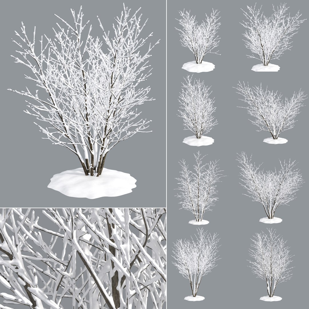 bushes 3D model https://p.turbosquid.com/ts-thumb/M4/6oQ7Bi/CAnZNR9t/bb_collection25/jpg/1541271335/1920x1080/fit_q87/02a610309492e19f92fcf9f31b71aaa52e665698/bb_collection25.jpg