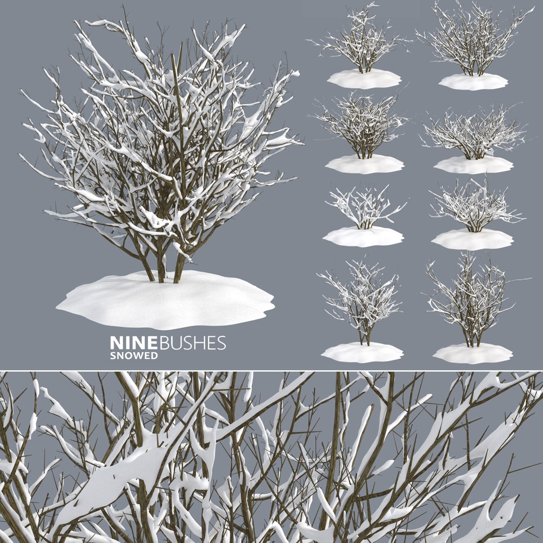bushes 3D model https://p.turbosquid.com/ts-thumb/M4/6oQ7Bi/Jok7Rb1D/bb_collection6/jpg/1541271128/1920x1080/fit_q87/386e1e02d6088d85efc379c0253fdb31b349056e/bb_collection6.jpg